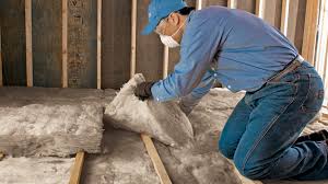 Best Radiant Barrier Insulation  in Three Lakes, FL