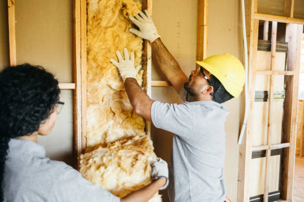 Types of Insulation We Offer in Three Lakes, FL